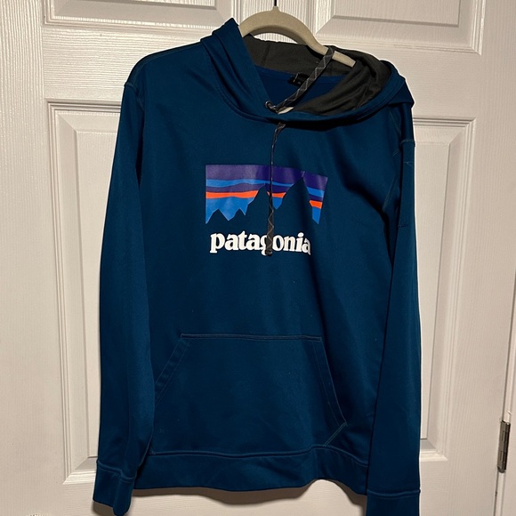 Patagonia Other - Patagonia Men's teal blue Hoodie Sweater